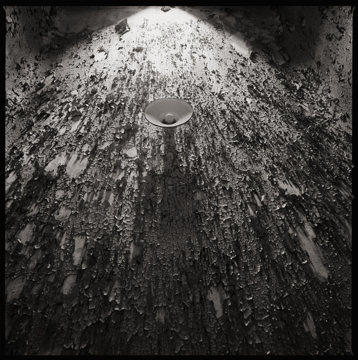 Untitled by Eric T. Kunsman  Image: ID: A black and white image shows the ceiling with its peeling paint and cracking cement.  There is a circular light fixture hanging from the ceiling.  There is light coming from the top of the image.