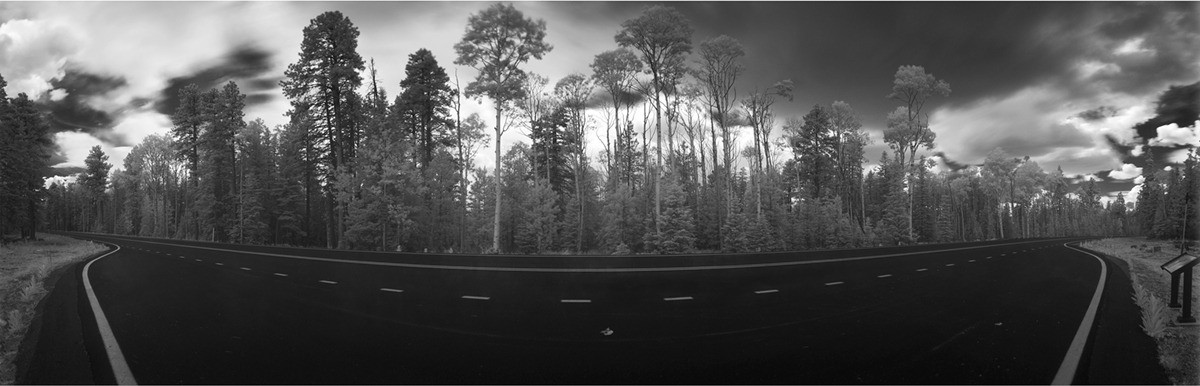 Kaibab Plateau, 200º by Eric T. Kunsman 