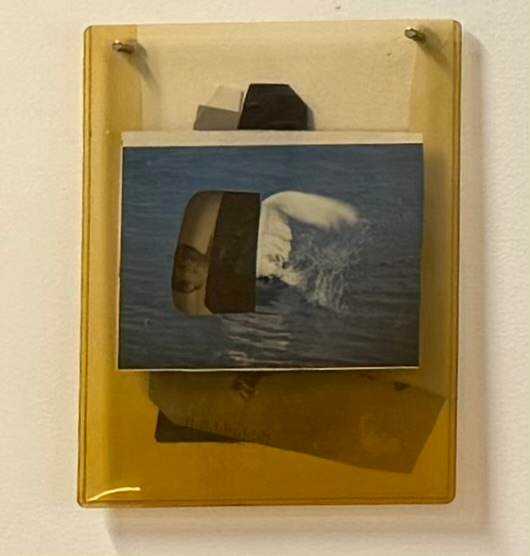 Swan & Dafoe by MaryAnn Puls, Image 1.