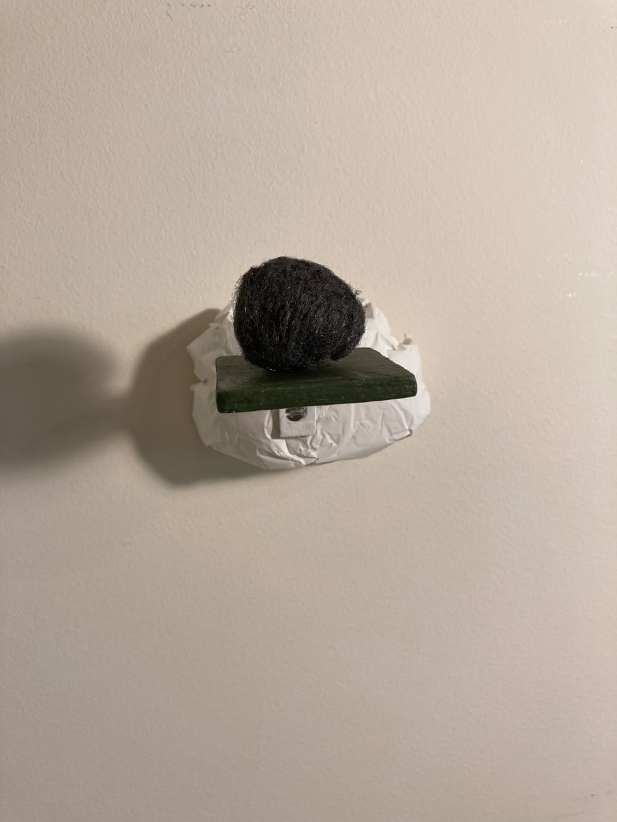 Green Shelf with Detachable Steel Wool Ball by MaryAnn Puls 