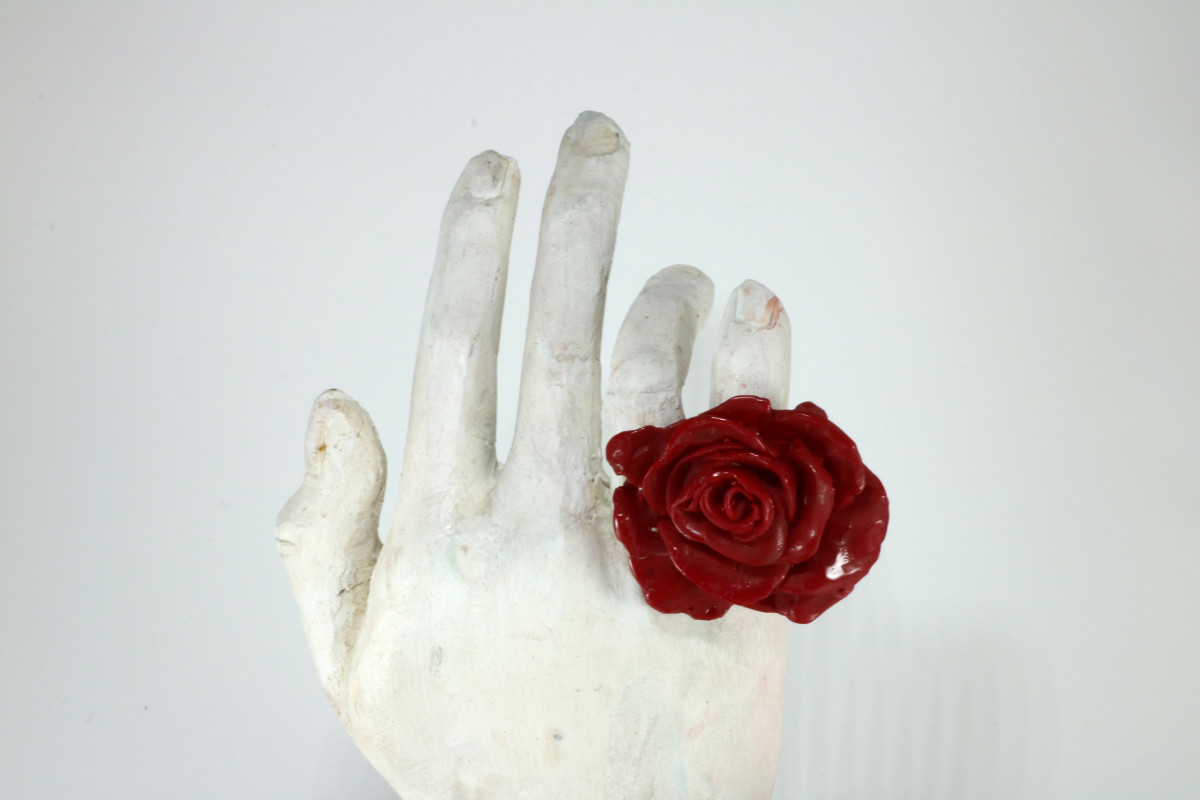 Rosa plástica by Ana Gabriela Rodriguez 