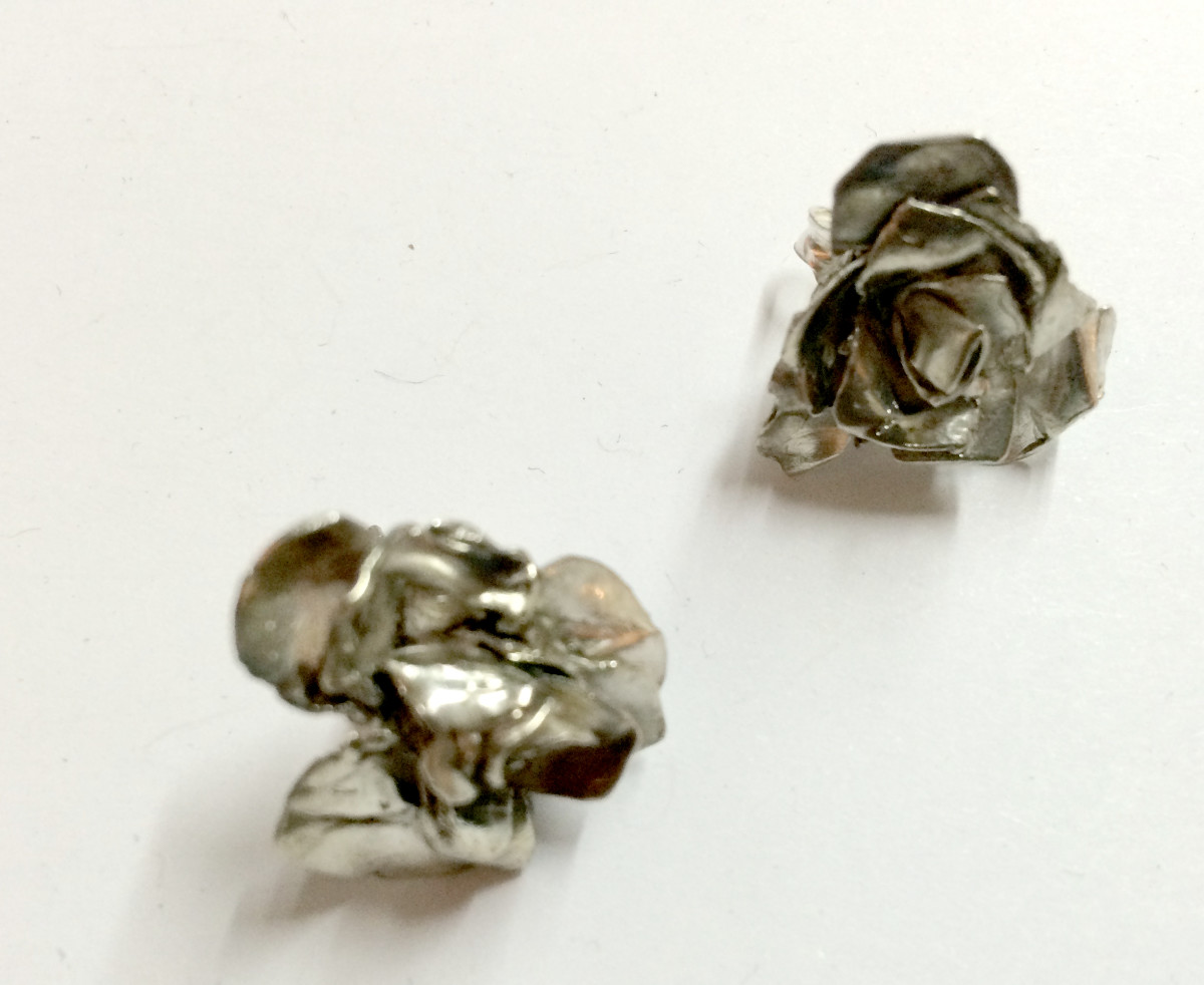 Rosas by Ana Gabriela Rodriguez 