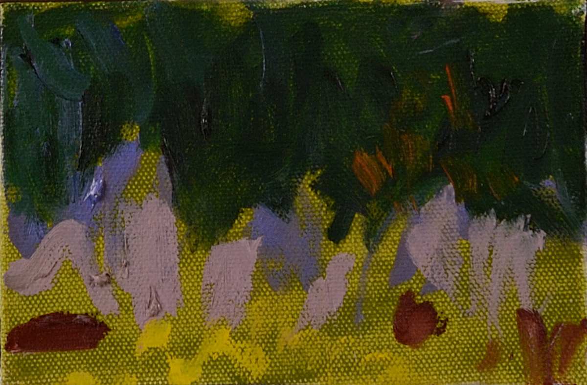 Copse and Field, Image 1.