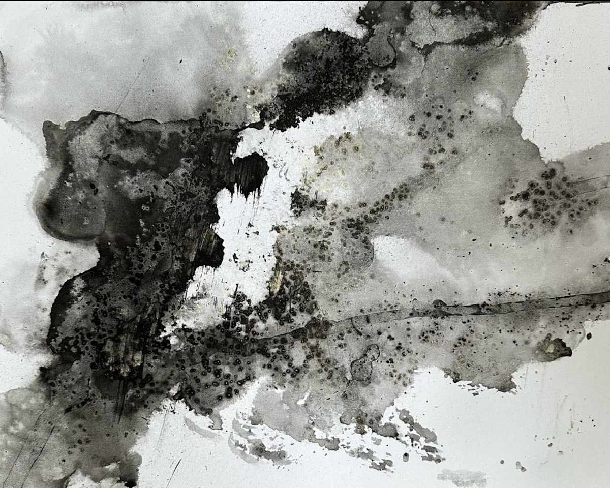 3_4_24 by RM Cimini, Image 1.