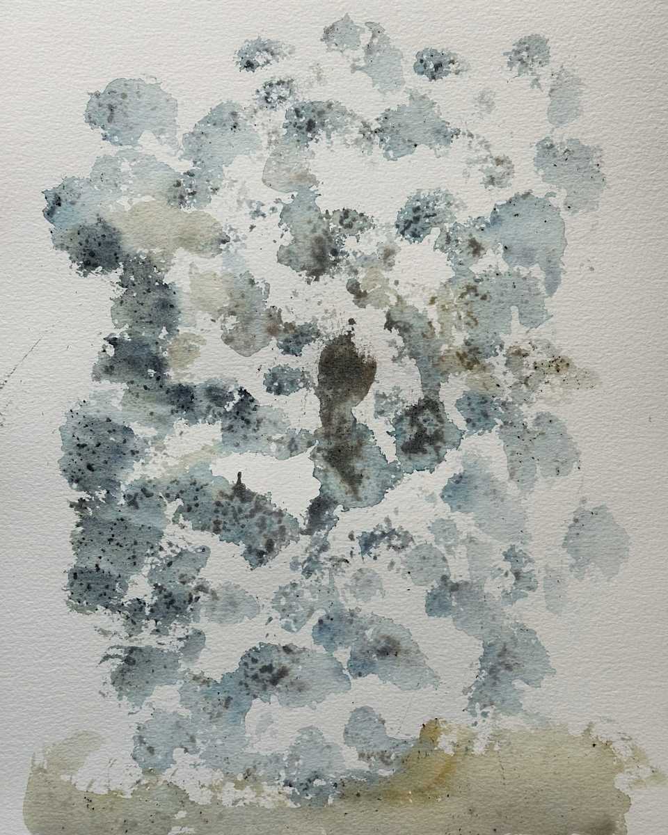 4_20_24 by RM Cimini, Image 1.