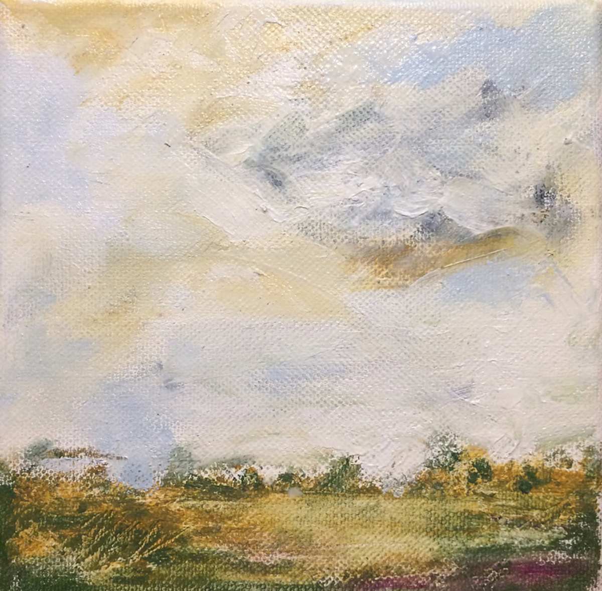 Cloud Marsh by RM Cimini, Image 4.