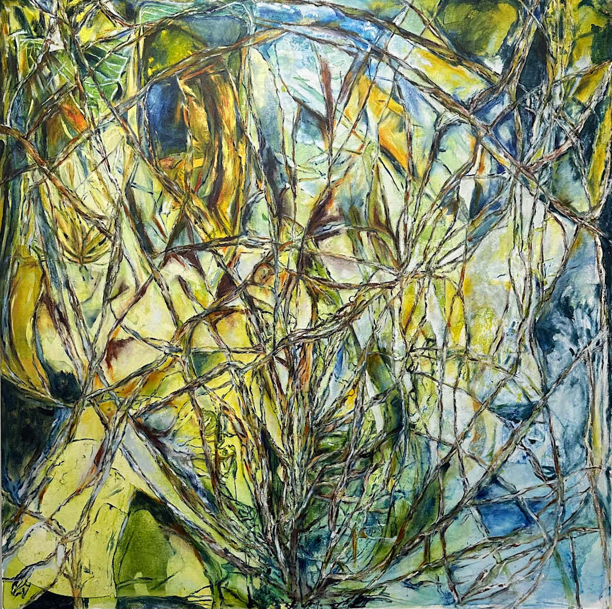 Where the Light Lives by RM Cimini, Image 1.