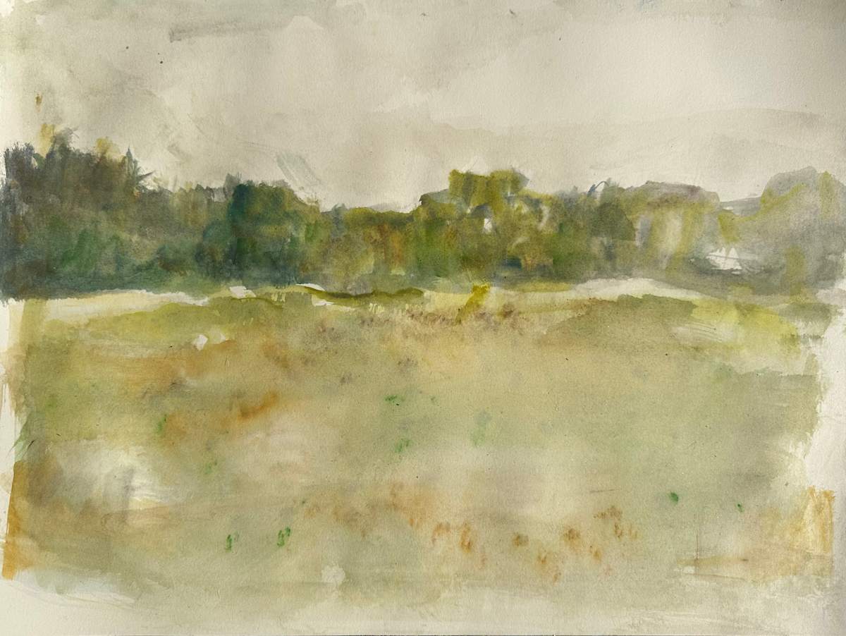 9_17_23 by RM Cimini, Image 1.