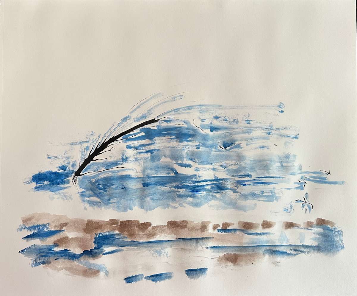 10_1_23 by RM Cimini, Image 1.