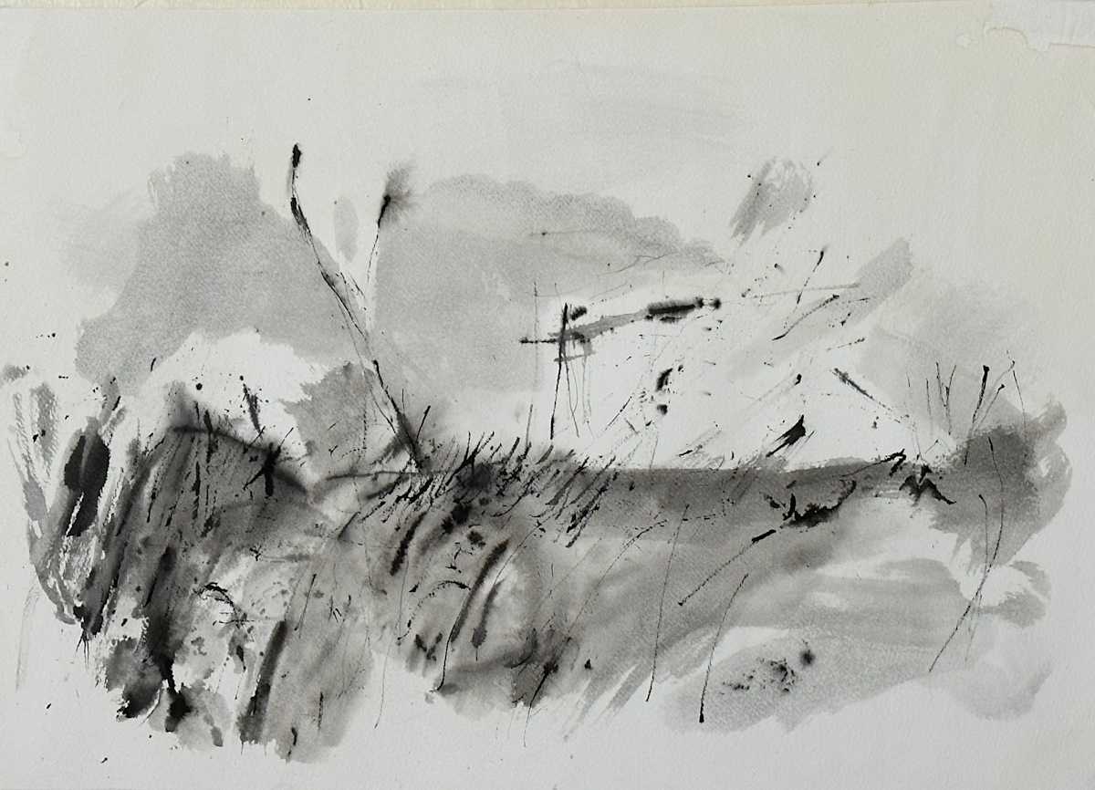11_2_23 by RM Cimini, Image 1.