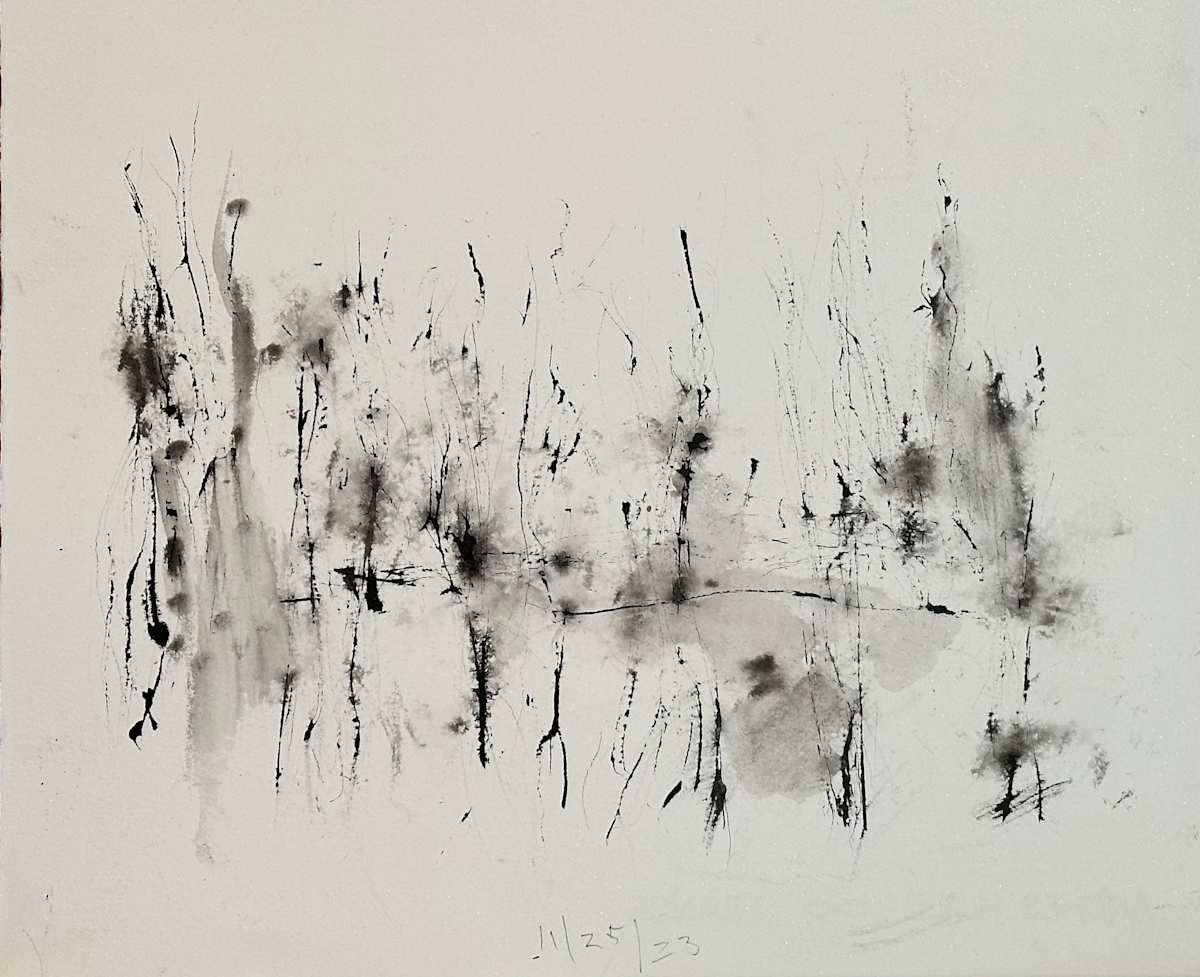 11_25_23 by RM Cimini, Image 1.