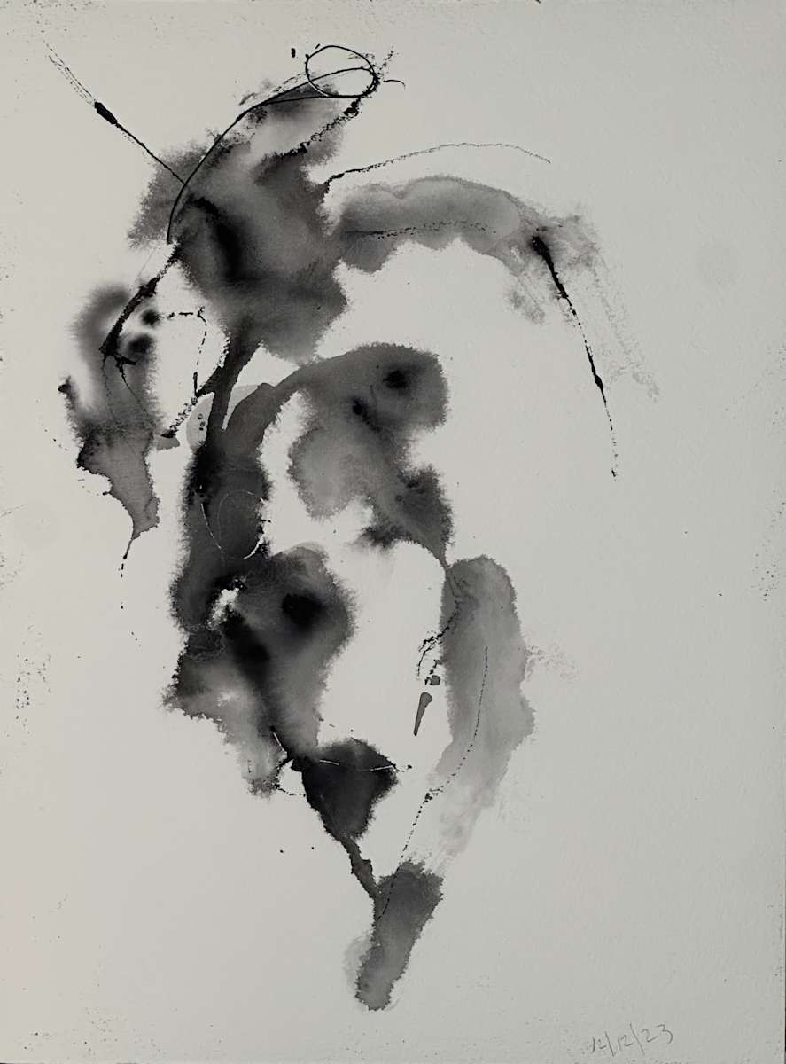12_12_23 by RM Cimini, Image 1.