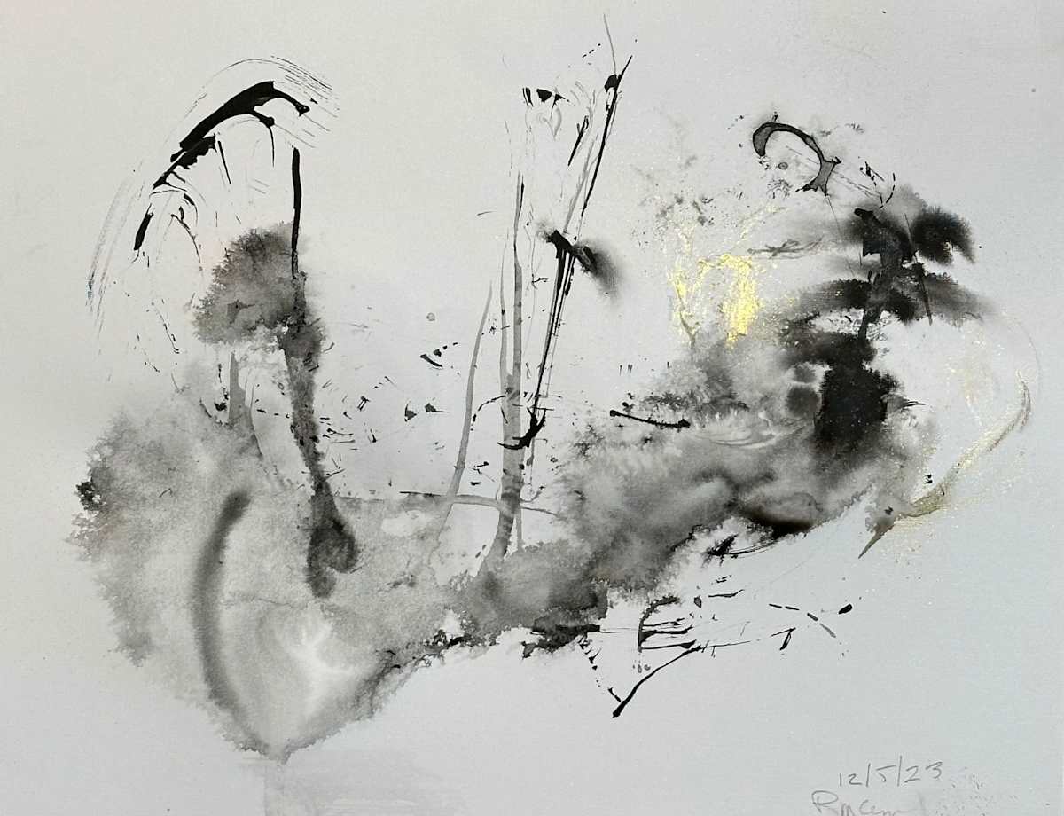 12_5_23 by RM Cimini, Image 1.