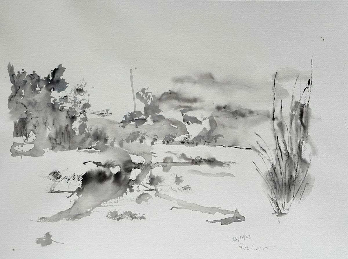 12_18_23 by RM Cimini, Image 1.