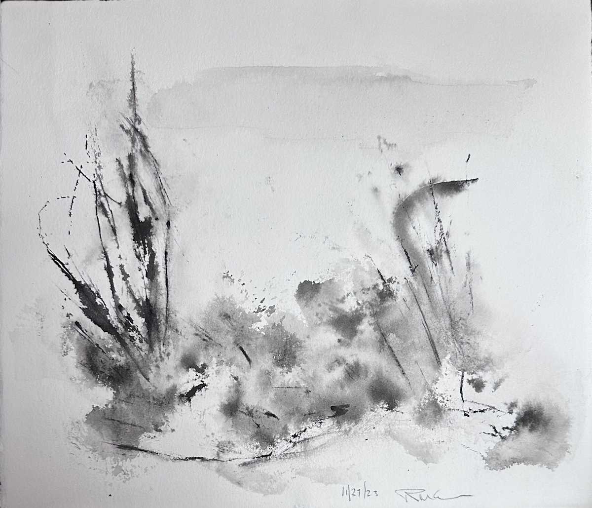 11_27_23 by RM Cimini, Image 1.