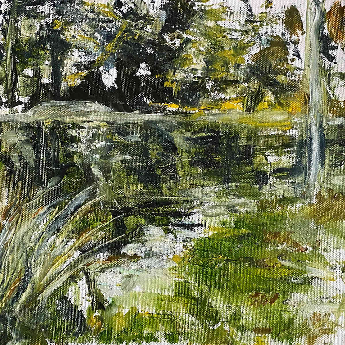 pond by RM Cimini, Image 8.