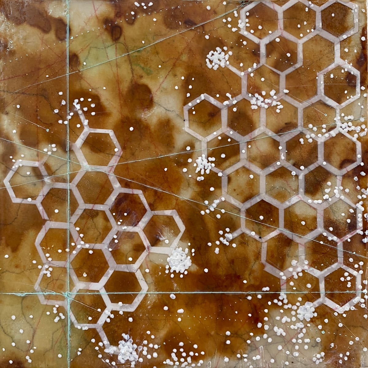 Natural Systems 001  Image: Natural Systems
Encaustic mixed media
6x6"