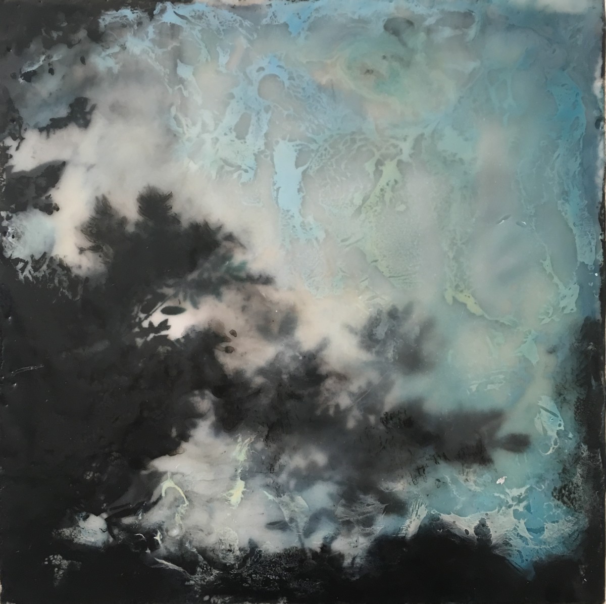 Canopy.encaustic.6x6_22.2018_wiwzj6_19 by Giselle Gautreau 