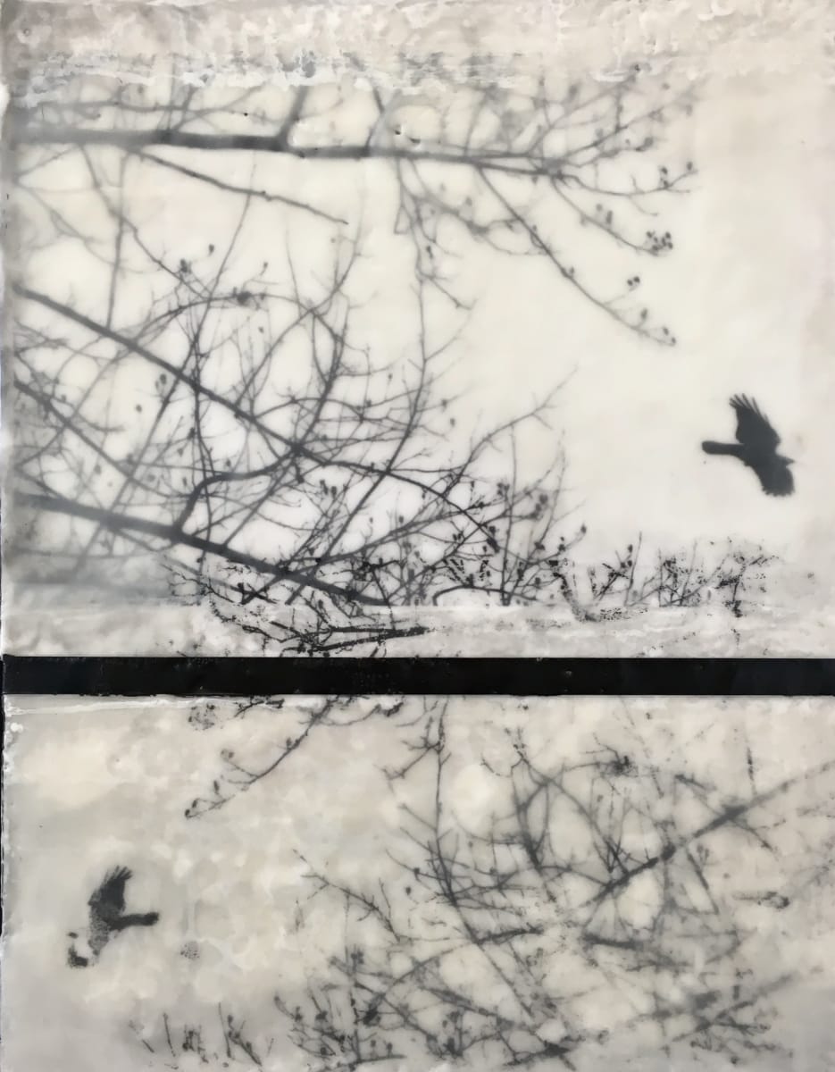 IMG_4947_wcfvji_2 by Giselle Gautreau, Image 1.