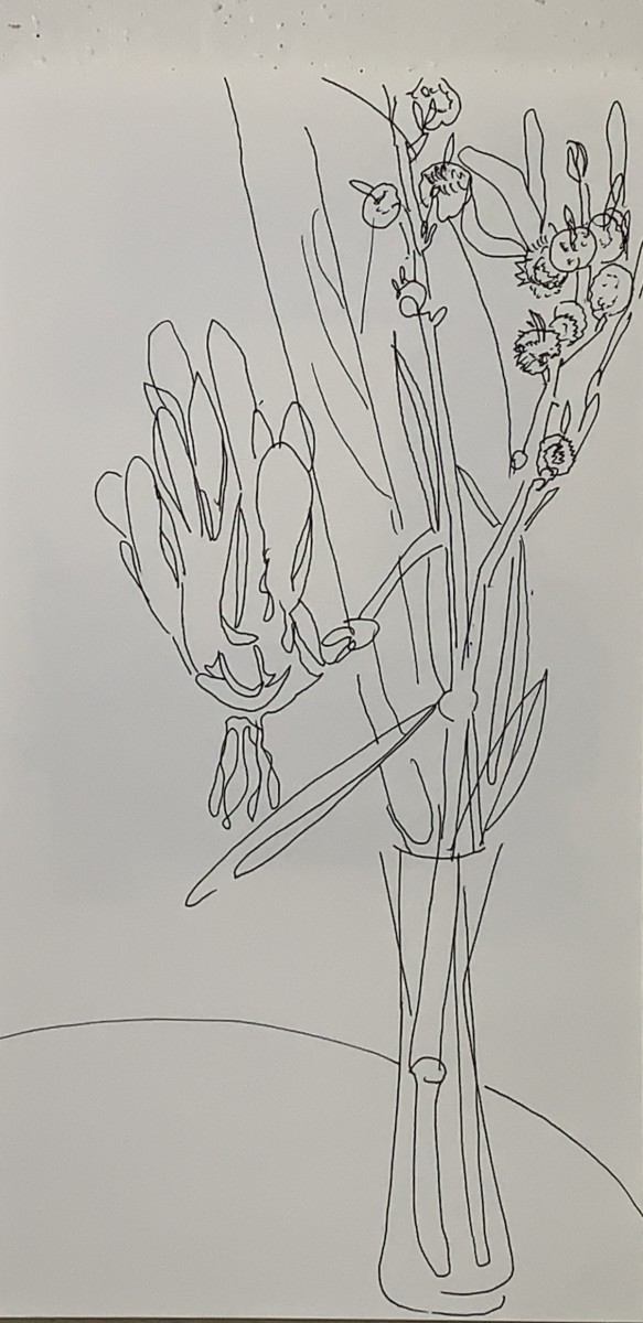 Flower drawing for web 2 by Paul Seidell 