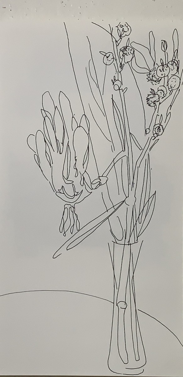 Flower drawing for web 2 by Paul Seidell 