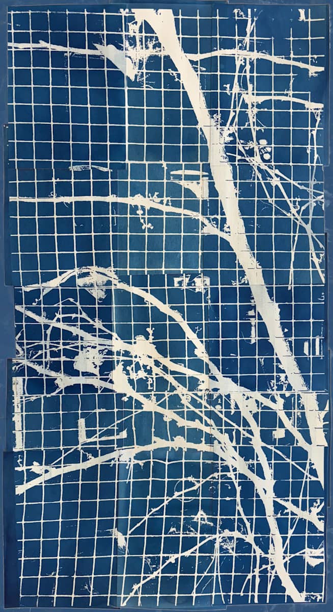 Urban Trellis #1: Winter by Bill Brookover 