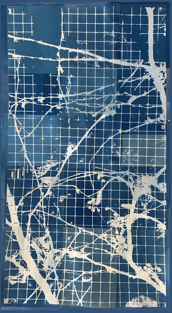 Urban Trellis #2: Winter by Bill Brookover 