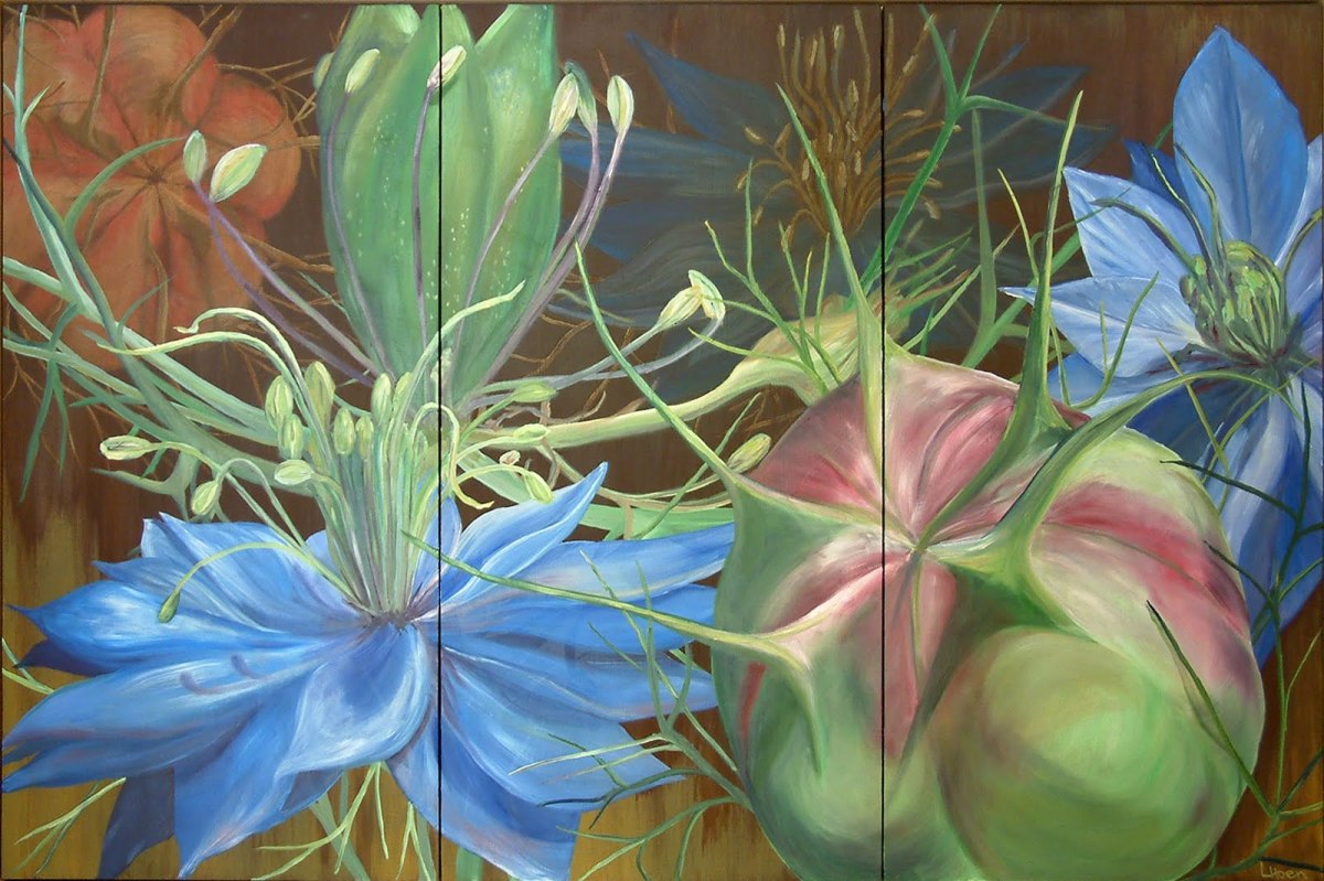 Nigella, Triptych by Laurie Hoen 