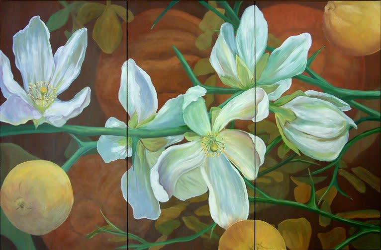 Trifoliate Orange, Triptych by Laurie Hoen 