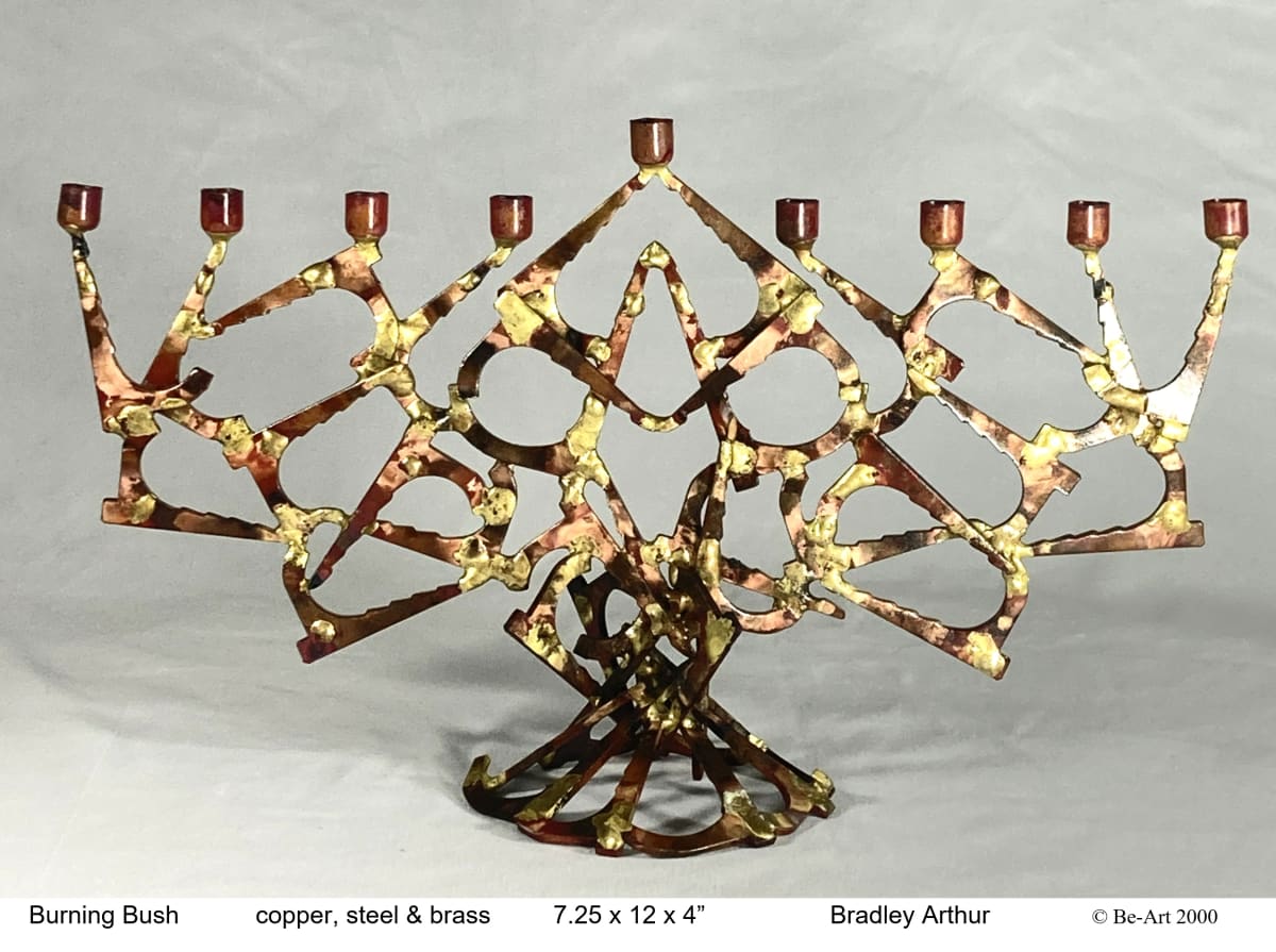 Burning Bush by Bradley Arthur 