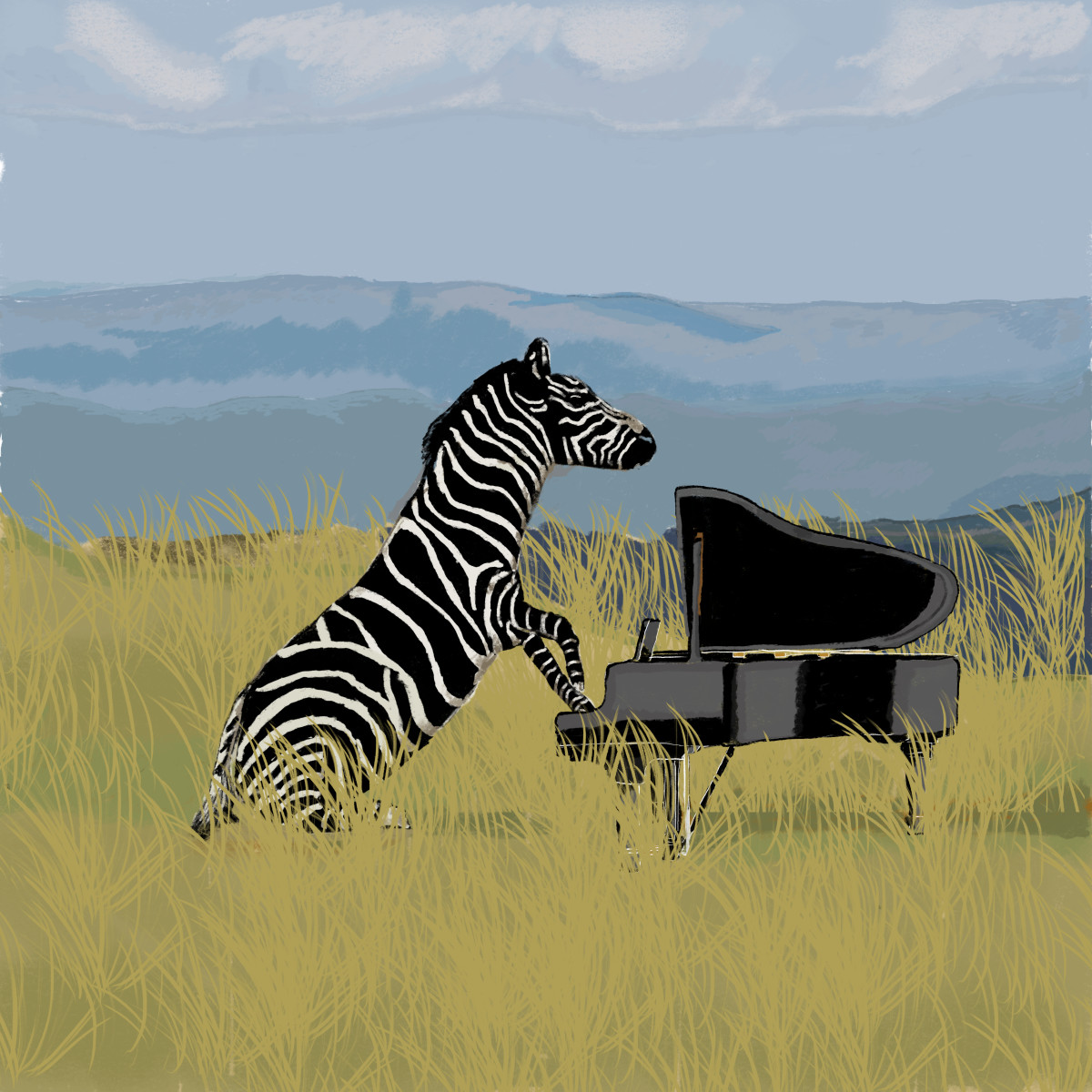 Zebra Pianist 18x24 only by matthew stitt 