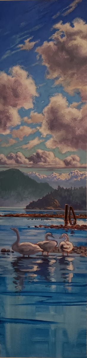 " 3 swans - 3 clouds"  West Howe Sound by Jan Poynter 
