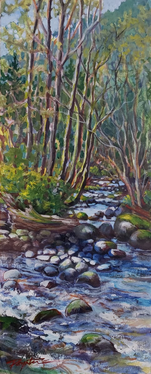 "Stone shadows - Spring creek" by Jan Poynter 