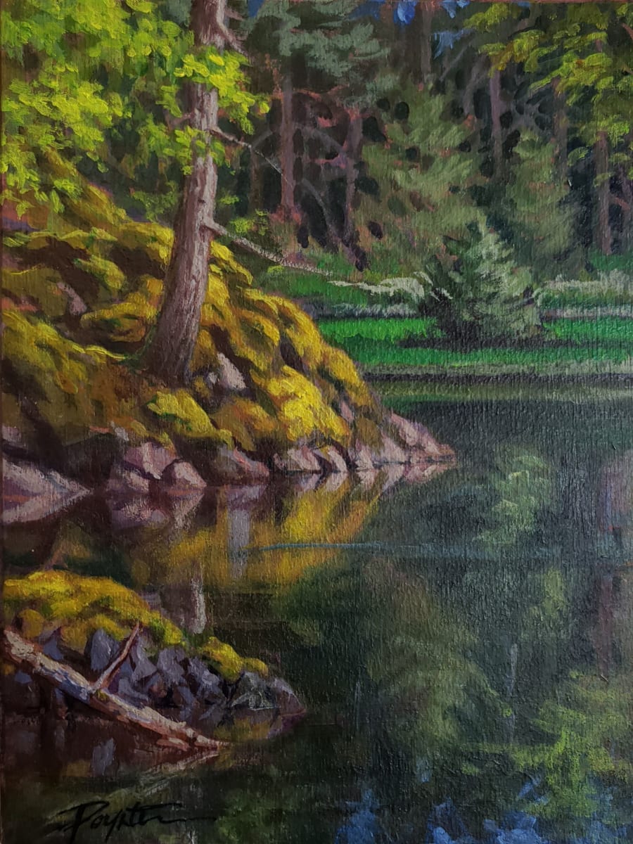"Pond / Moss" Coopers Green - Sunshine Coast B.C. by Jan Poynter 