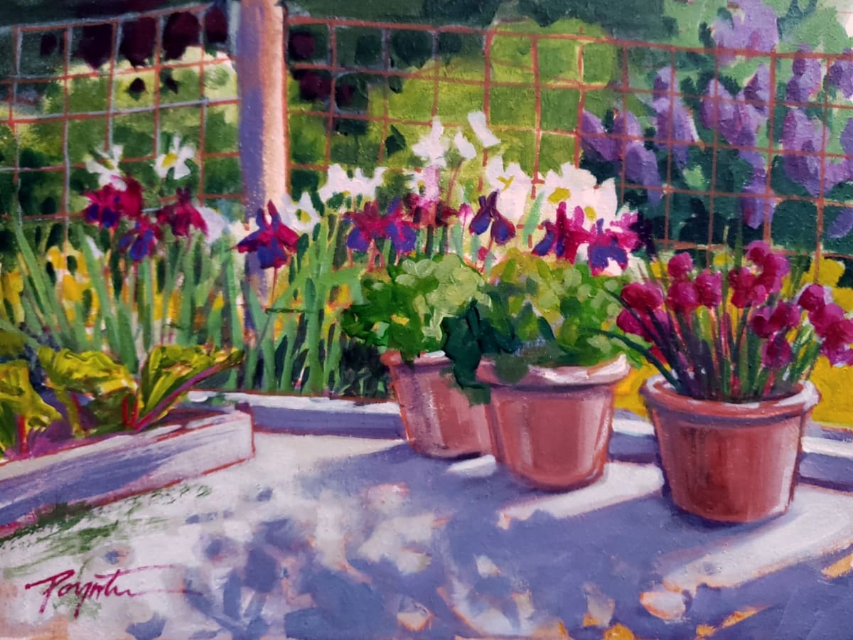 Garden Shadows - May by Jan Poynter 