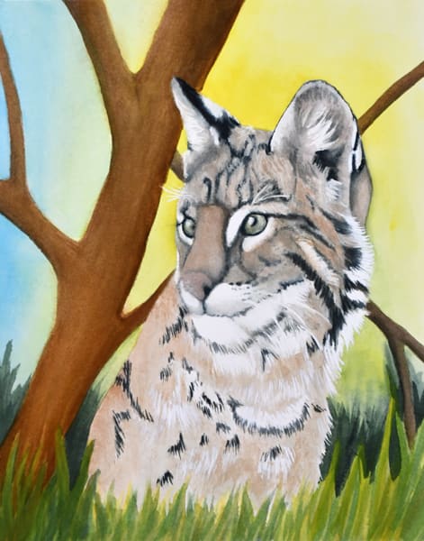 Bobcat 4 by Terry Arroyo Mulrooney 