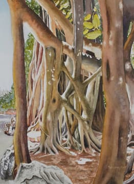 Banyan Glow by Terry Arroyo Mulrooney 