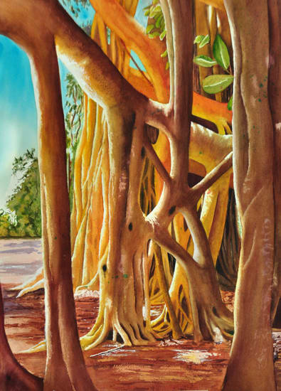 Banyan Light by Terry Arroyo Mulrooney 