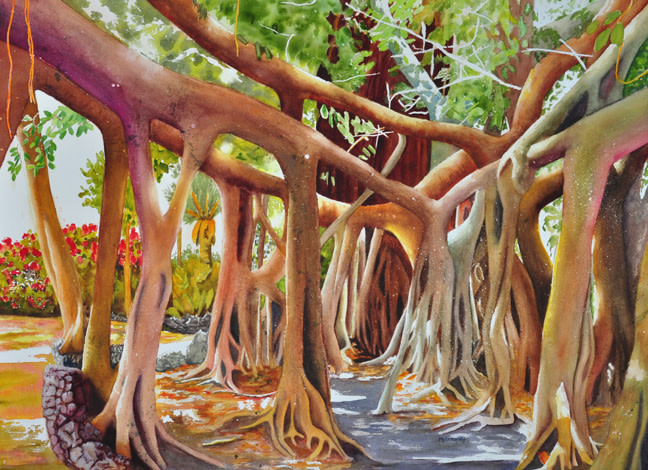 Banyan Home by Terry Arroyo Mulrooney 