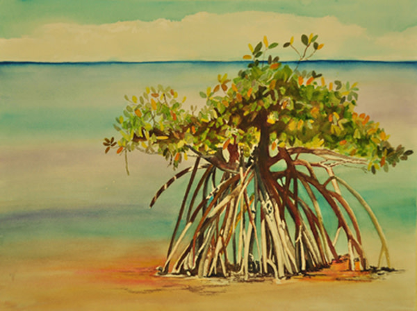 Florida Keys Mangrove by Terry Arroyo Mulrooney 