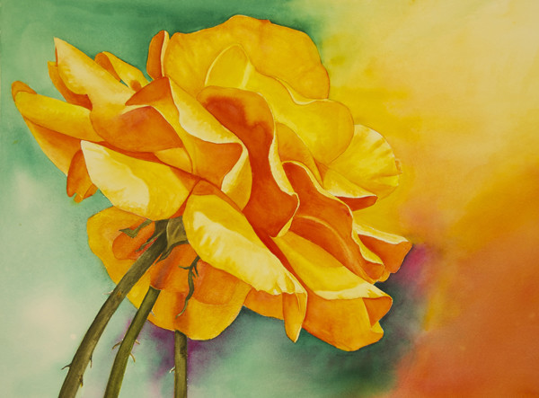 Orange Rose by Terry Arroyo Mulrooney 