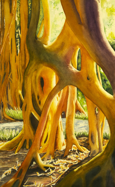 Banyan in the Park by Terry Arroyo Mulrooney 