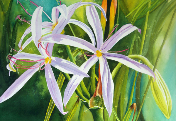 Everglades Flower by Terry Arroyo Mulrooney 