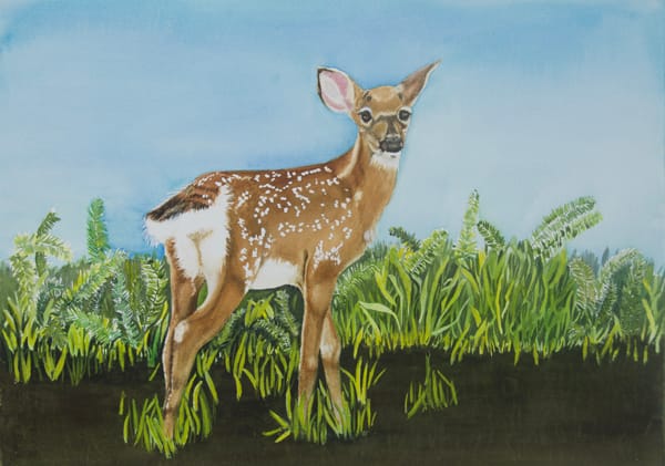 Bambi by Terry Arroyo Mulrooney 