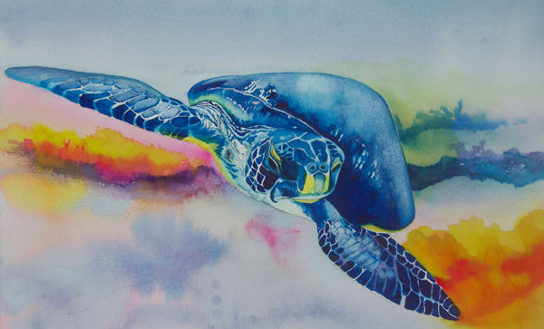 Blue Turtle 