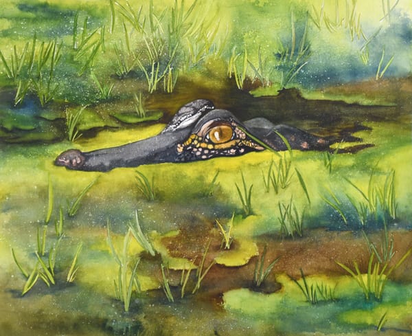 Gator by Terry Arroyo Mulrooney 