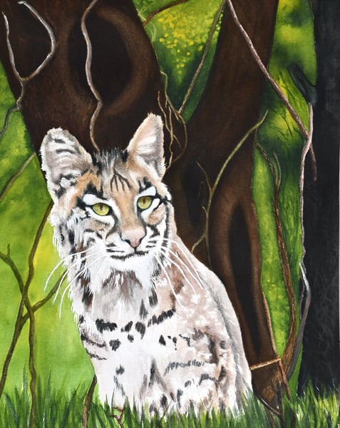 Bobcat W/ Tree by Terry Arroyo Mulrooney 