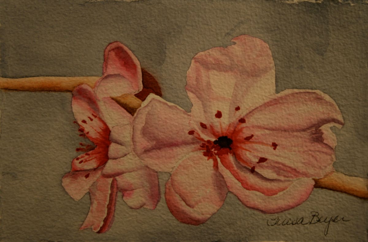 Blossom 