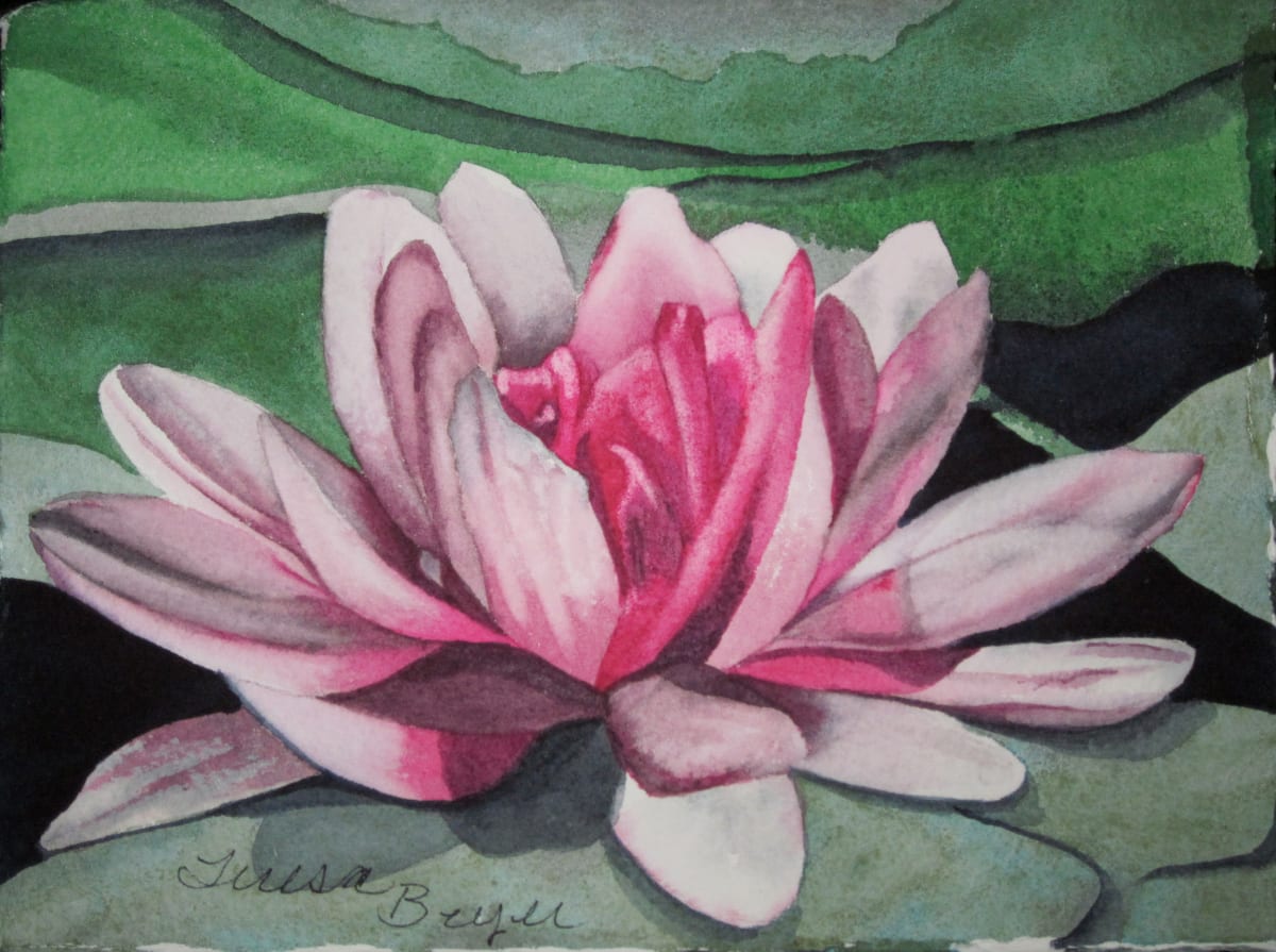 Late Lotus 