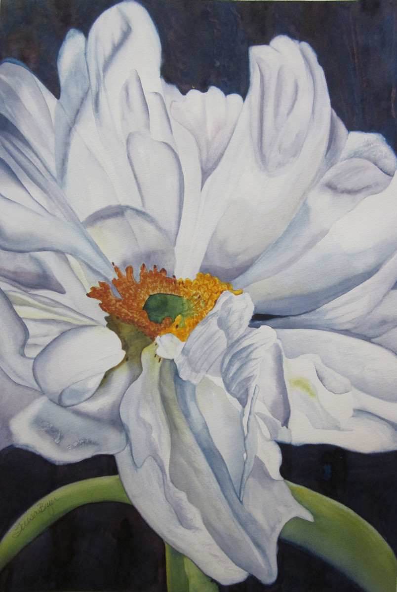 Blooming where planted by Teresa Beyer  
